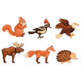 104.602.200 - Magnetpuzzle Wald 6er Set