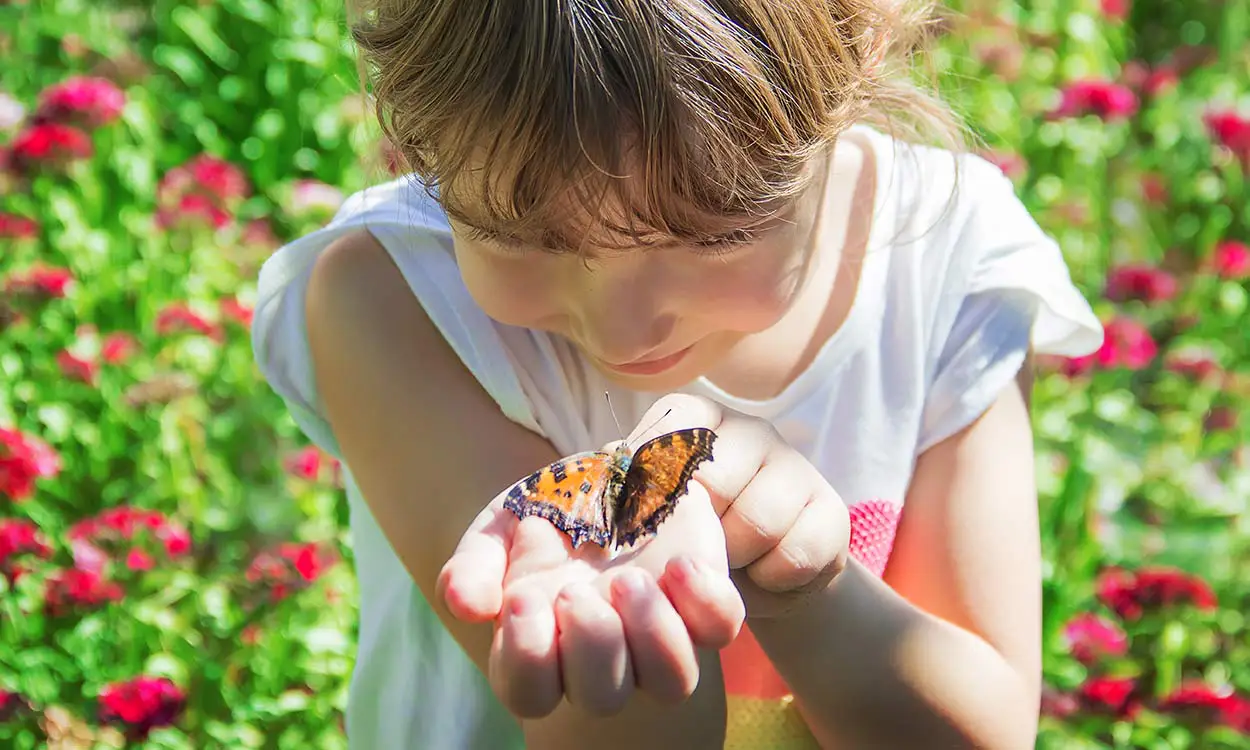 Frühlingserwachen Tiere