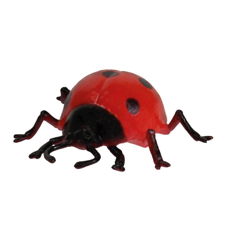 Modell Insekten & Co.