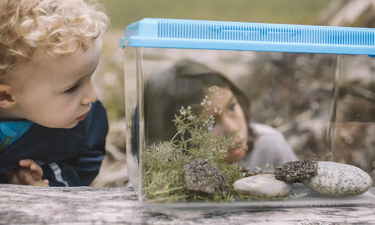 Naturerlebnisse im Garten