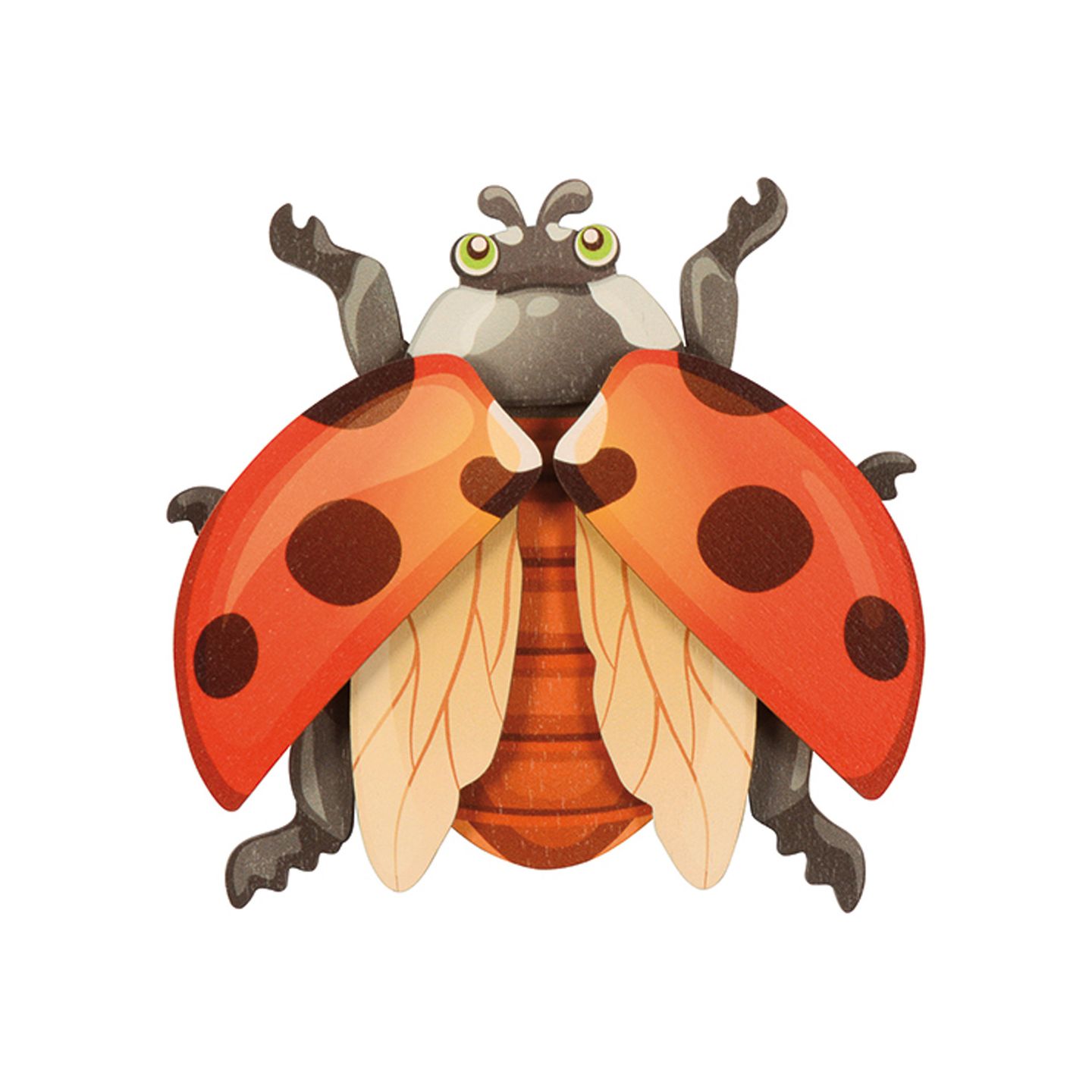 Magnetpuzzle Insekten 6er Set