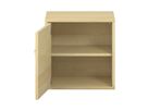 Pureo Türenschrank, Griff rechts, Scharnier links, Furnier mit 1 Einlegeboden B 50 x H 50 x T 42 cm