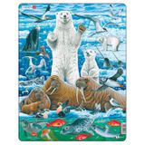 104.501.000 - Eisbärenfamilie, Puzzle 46 Teile