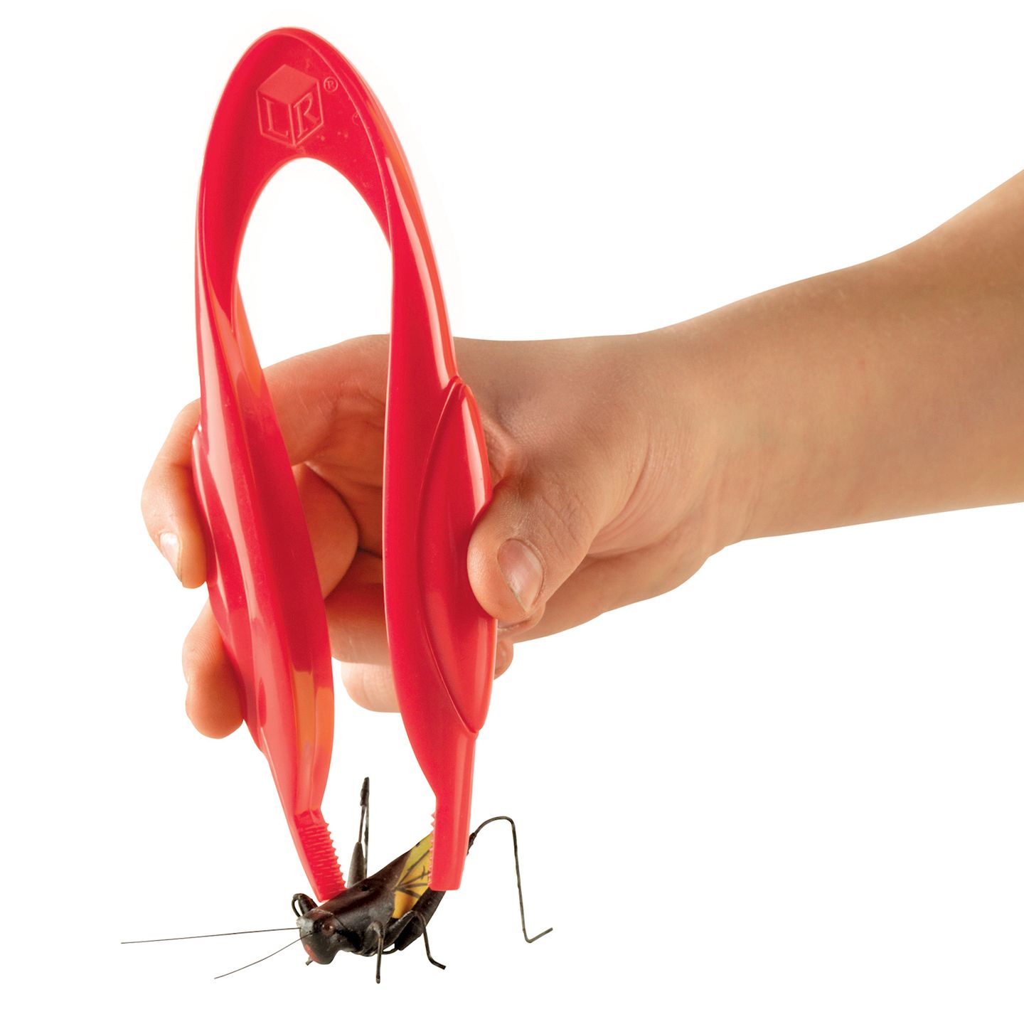 Jumbo Greifzangen, 12 Stk.