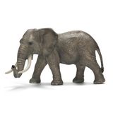 102.317.500 - Afrikanischer Elefantenbulle