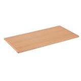 446.000.857 - Konstruktionsboden, Dekor Buche hell, B 65 x T 38,4 x H 2 cm