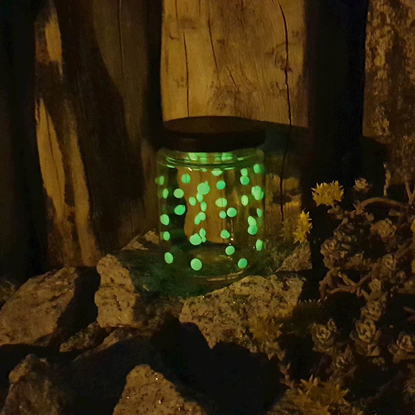 Glühwürmchen im Glas