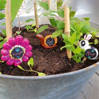 Bunte Gartenstecker