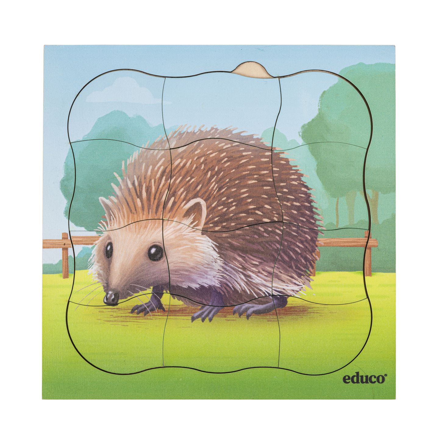 Lagenpuzzle Igel