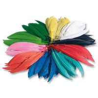Indianerfedern, 100 g L 4 - 14 cm