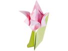 Faltblätter-Set Blüten, 170 Blatt in Grössen sortiert