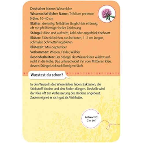 50 heimische Blumen, Lernkarten