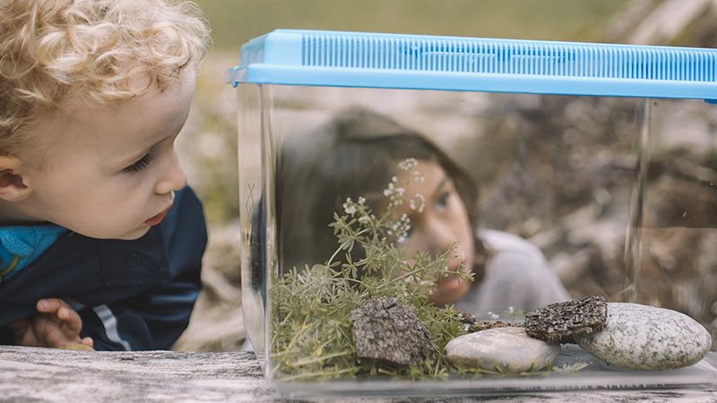Praktische Hilfsmittel um mit Kindern die Natur zu erforschen
