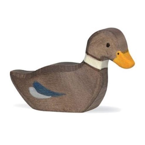 Ente, schwimmend