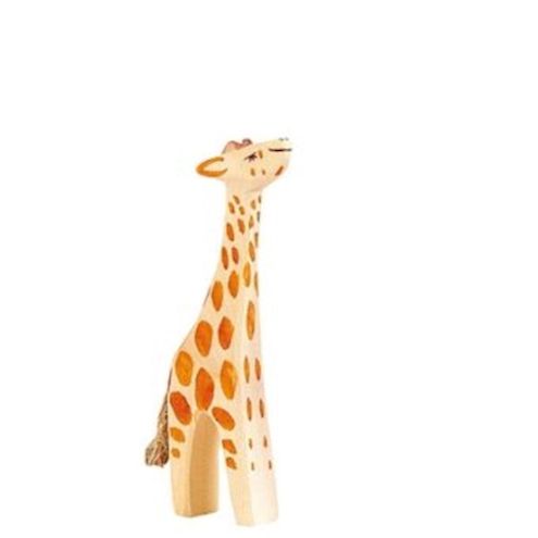 Giraffe klein, Kopf hoch