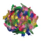 119.121.700 - Perlhuhnfedern bunt 10 g