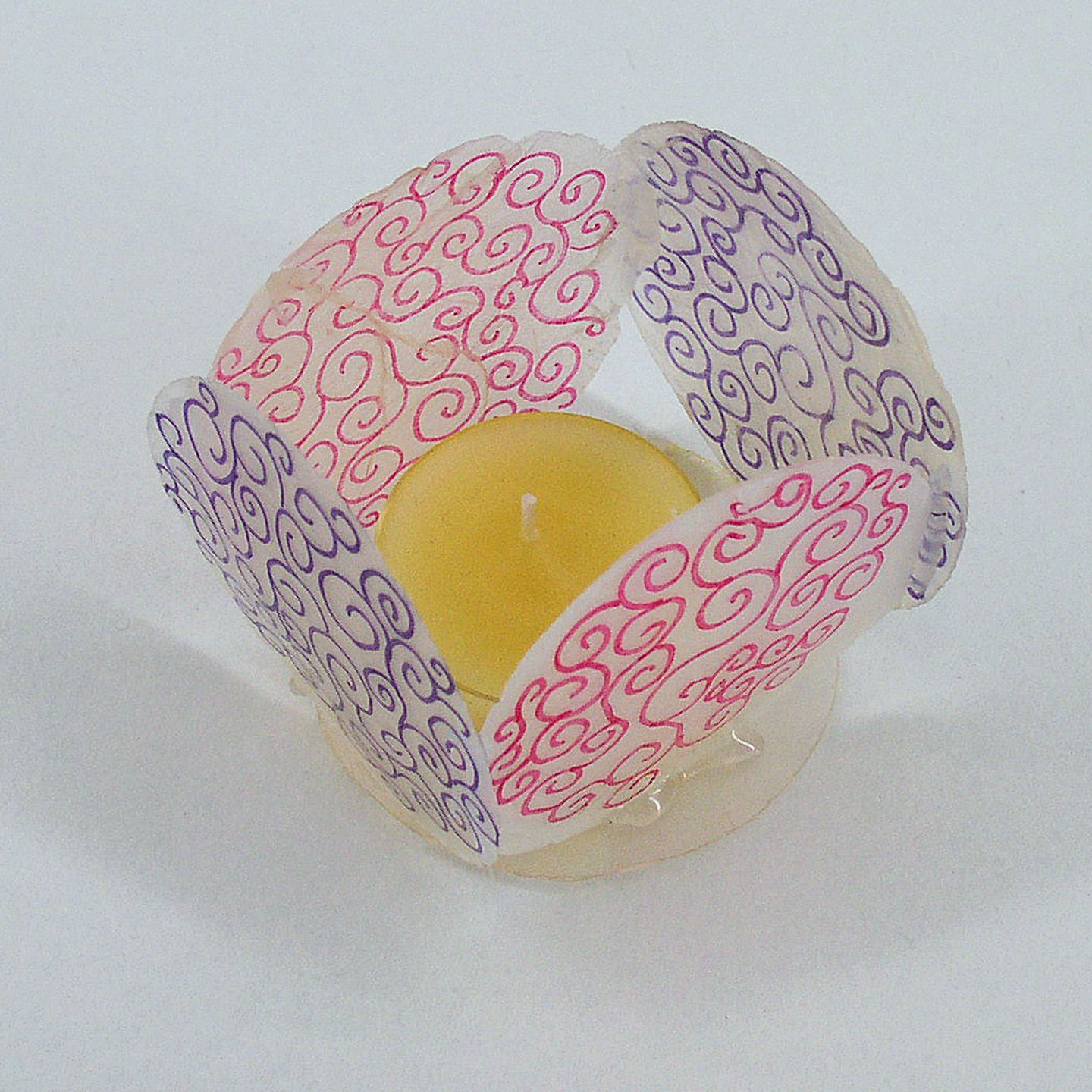 Muschelscheiben Ø ca. 7.5 cm, 50 Stück in Box