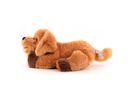 Therapie-Hund Theo