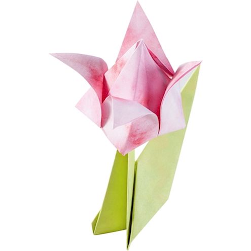 Faltblätter-Set Blüten, 170 Blatt in Grössen sortiert