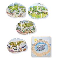 Lagenpuzzle Frosch, 28 Teile