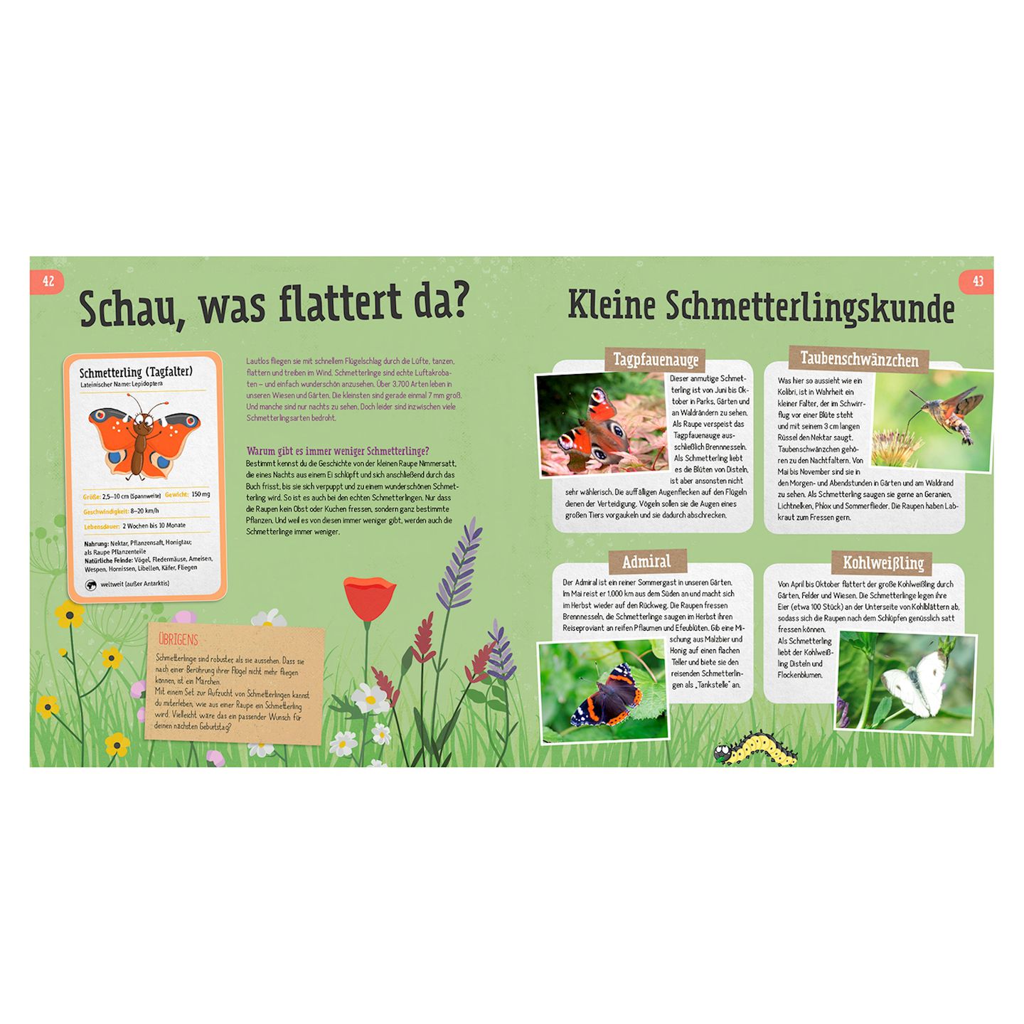 Wir retten die Bienen, Igel und Käfer, Buch