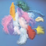 119.120.000 - Putenfedern bunt