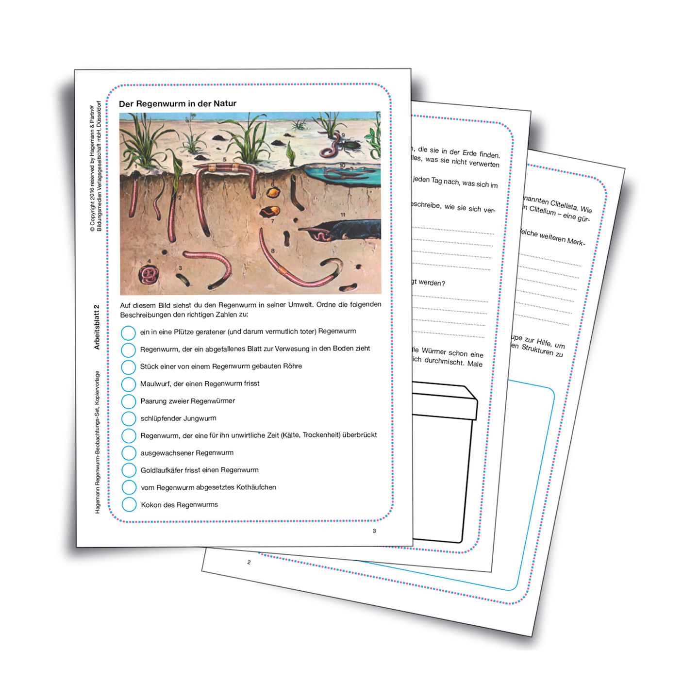 Beobachtungsset Regenwürmer