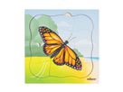 Lagenpuzzle Schmetterling