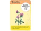 50 heimische Blumen, Lernkarten