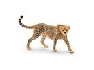 Gepard