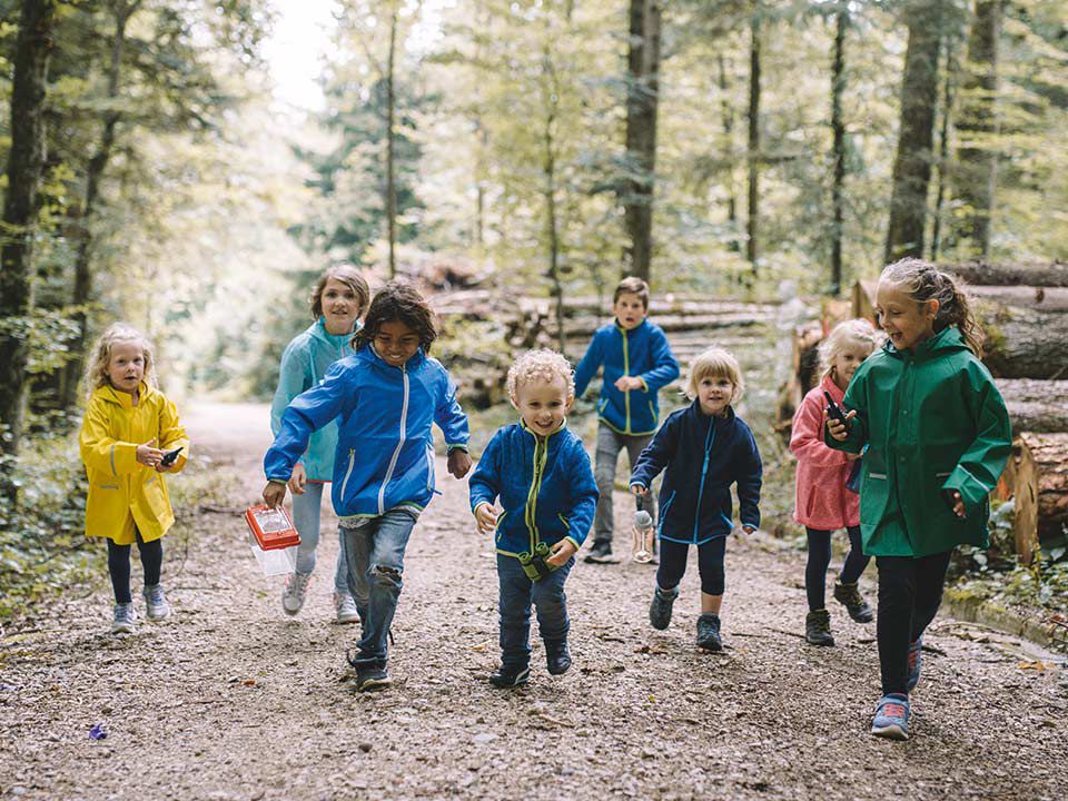 Waldspaziergang