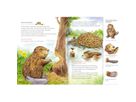 Der kleine Biber und die Tiere am Fluss