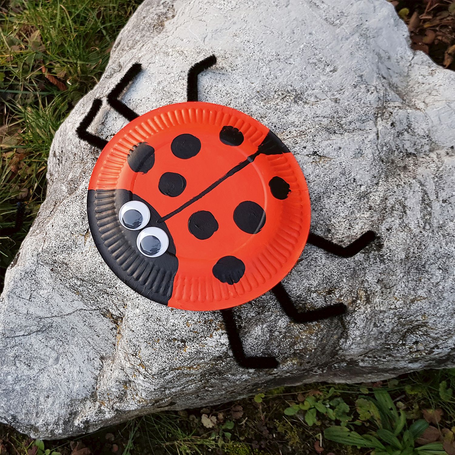 Pappteller Marienkäfer