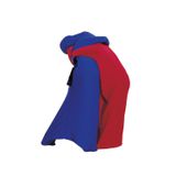 119.320.000 - Panto-Mimo, 120 x 75 cm