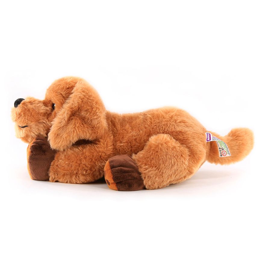 Therapie-Hund Theo