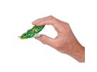 Knackfrosch