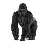 102.315.700 - Gorilla
