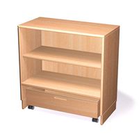 Bausteinschrank mit einem Bausteinwagen und 2 Einlegeböden, Buche massiv, B 80 x H 80 x T 40 cm