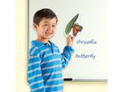 Lebenszyklus Schmetterling magnetisch, Demonstrations Set