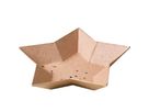 Schale Stern 15,5 x 15 x 3 cm