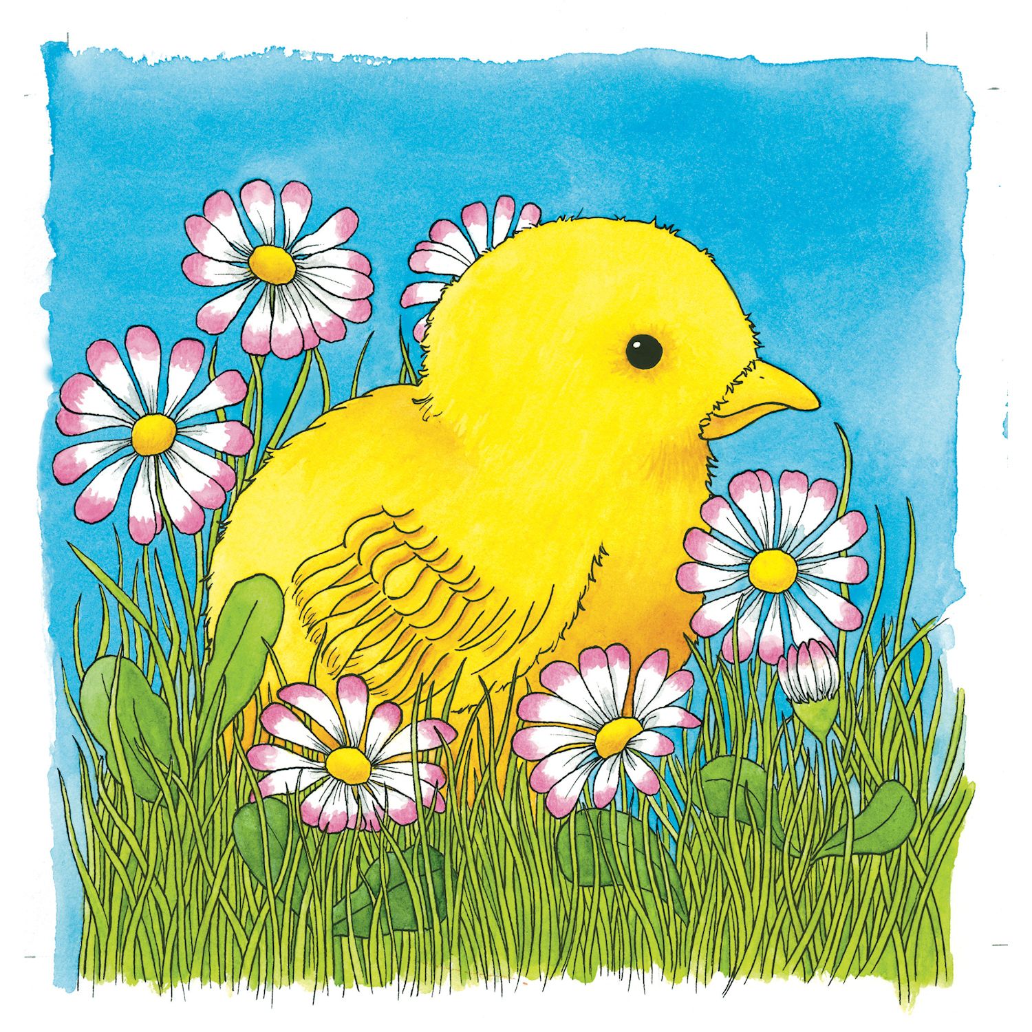 Schichtenpuzzle Huhn