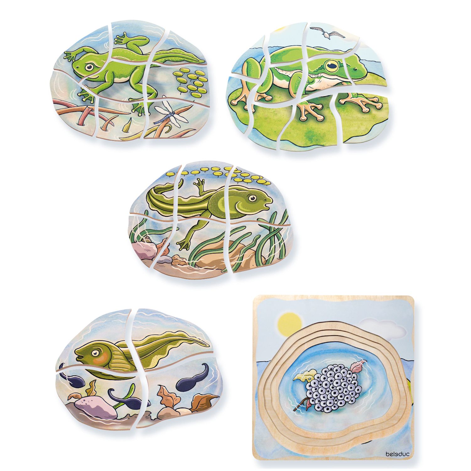 Lagenpuzzle Frosch, 28 Teile