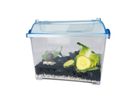 Beobachtungs-Set Schnecken