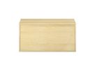 Pureo Doppeltürenschrank Furnier, mit 1 Einlegeboden, B 100 x H 50 x T 60 cm