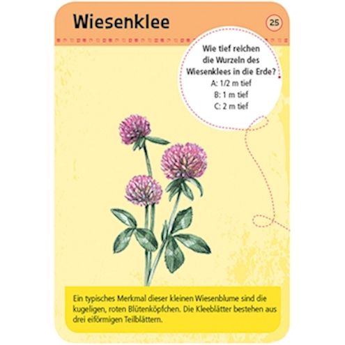 50 heimische Blumen, Lernkarten
