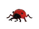 Modell Insekten & Co.
