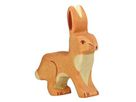 Hase
