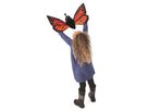 Schmetterling Metamorphose Handpuppe 56 cm