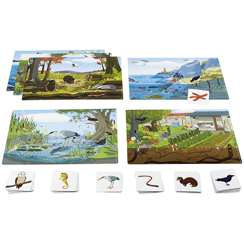Spiel der Natur