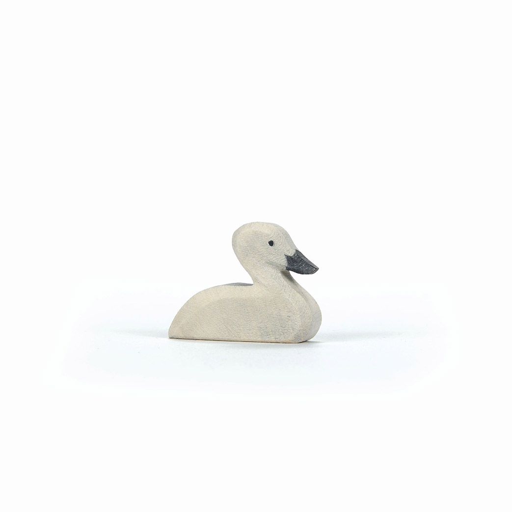Schwan klein